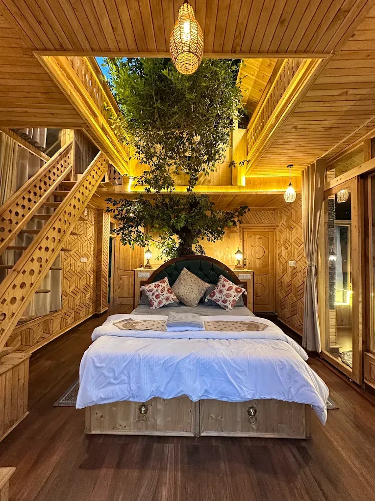 Duplex Tree House with a tree rising through the room, the timber staircase and the loft above