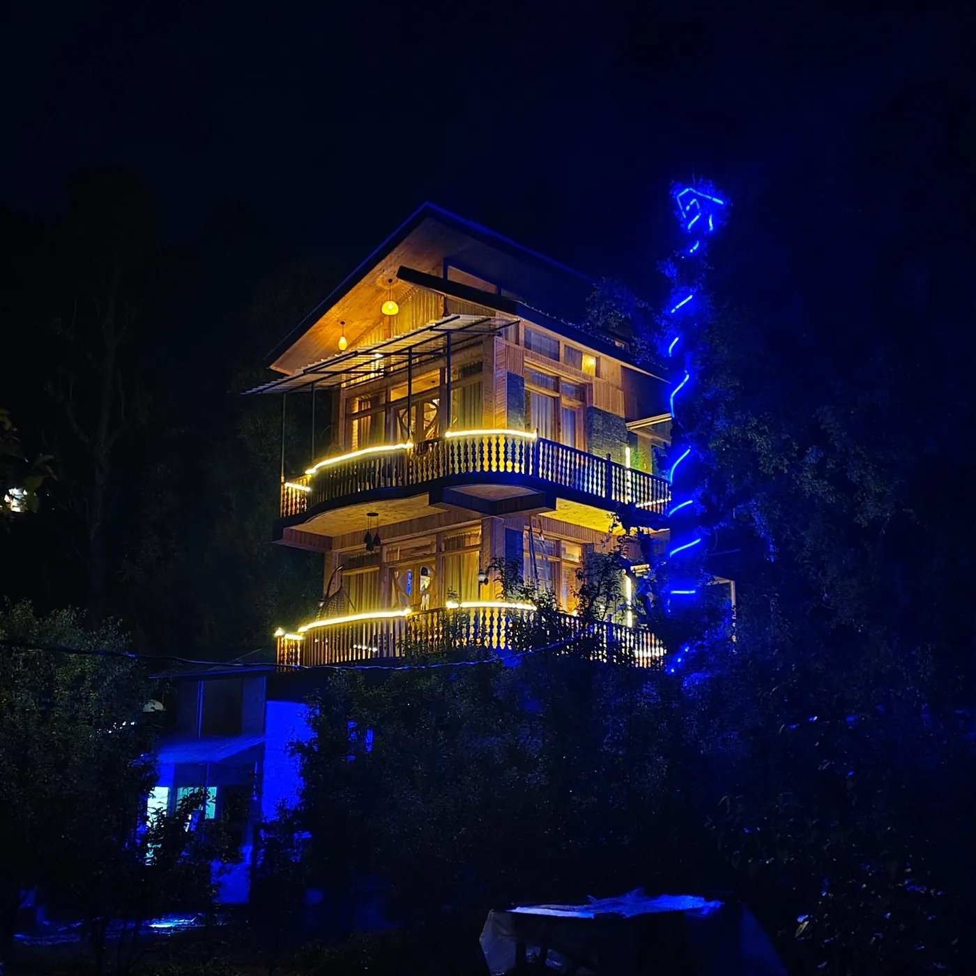 Shree Tree House at night with lit balconies among the trees