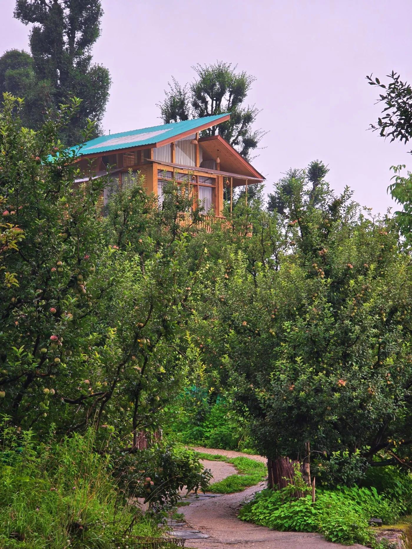 Shree Tree House seen through apple trees on the hillside above Jari